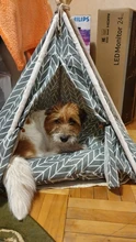 Pet-Tent House Kennels Teepee Puppy-Cat Cave Kitten Outdoor Portable Linen with Mat