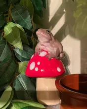 Elastic Bandage Tape Athletic-Wrap Sports-Protector Self-Adhesive Knee-Finger Colorful