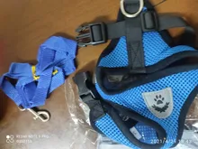 Arnés ajustable para perros y gatos, correa de plomo para pasear, collar para cachorros de malla de poliéster, medianos y pequeños