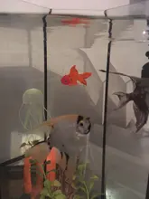 Ornament Fish-Tank-Jellyfish Artificial-Aquarium Goldfish for Glow-In-The-Dark