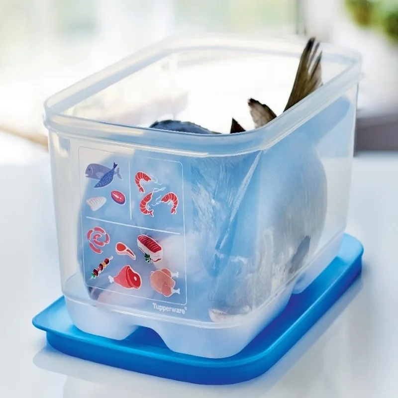КОНТЕЙНЕР УМНЫЙ ХОЛОДИЛЬНИК(4,4 Л) ДЛЯ МЯСА И РЫБЫ Tupperware