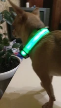 Collar LED de nailon para mascotas, fluorescente y luminoso, suministros para mascotas, correa de seguridad nocturna intermitente de seguridad que brilla en la oscuridad