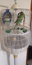 Waterer-Clip Aviary Cage Feeding-Equipment Bird Food-Feeder Pet-Water-Drinker Budgie-Lovebirds