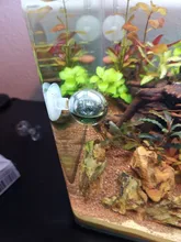 1 Uds acuario pecera dióxido de carbono CO2 Monitor gota de cristal comprobador de bola