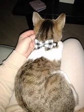 Collares de gato de rejilla a cuadros coloridos, Collar de lazo a rayas de algodón, Bulldog, Chihuahua, pajarita para cachorro, Bandana de fiesta para perro pequeño