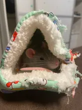 Small Animal Hammock Hamster-House Warm-Cage Rat/hedgehog Mini New Cat Winter Bed-Mat