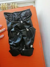 Jacket Dog-Coat Puppy Eagle-Pattern Waterproof Outdoor Outerwear Pet Small Soft Fashion