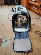 Dog-Carrier-Bags Airline Pet-Cat-Dog-Backpack Portable Cats Small Dog for Approved