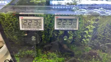 Mini acuario Digital LCD alarma termómetro tanque de peces alarma LCD termómetro medidor de temperatura controlador acuático suministros para mascotas