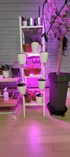 LED Grow Light 220V Full Spectrum LED Bar Lamp for Plants High Luminous Efficiency 8W