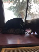 Bag Handbag-Holder Seat Back-Organizer Mesh Goods-Storage Automotive Large-Capacity Luxury