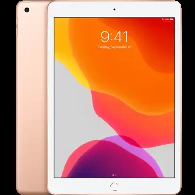 Электронные книги Apple (MW6D2TY/TO) APPLE IPAD 2019 10 2 32GB wifi CELL GOLD|Электронные книги| |