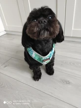 Breathable French Bulldog Harness Printed Reflective Dogs Harness Puppy Small Medium