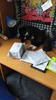 Изображение товара 4