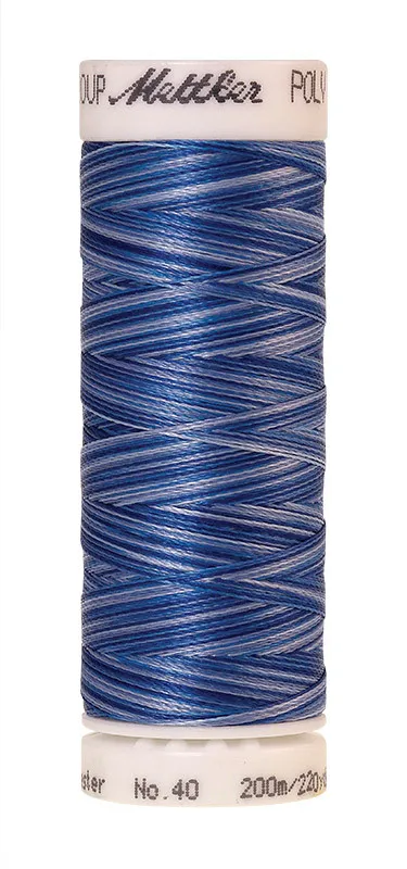 Нить для вышивания мультиколор POLY SHEEN MULTI METTLER, цвет 9929, 200 м