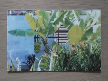 Honor-papel fotográfico Zink de 2x3 pulgadas, Original, anti-imitacion, para impresora Huawei, Canon, zoemini, LG, PD261, 251, 233