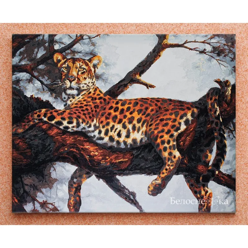 170-ab_808_w_logo-800x800