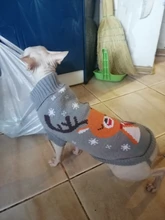 Antumn-ropa de invierno para gatos abrigo de suéter Katten para perros, disfraz de gato para perros pequeños, Chihuahua, Pugs, Bulldog francés