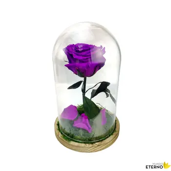 

Dome Beauty and Beast Eternal Rose preserved dark lilac