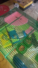 Rack Plate-Toys Hamster Squirrel-Cage Wooden Rectangle Colorful