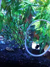 Underwater Artificial Coral Plant Ornament Aquatic Plant for Aquarium Fish Tank 