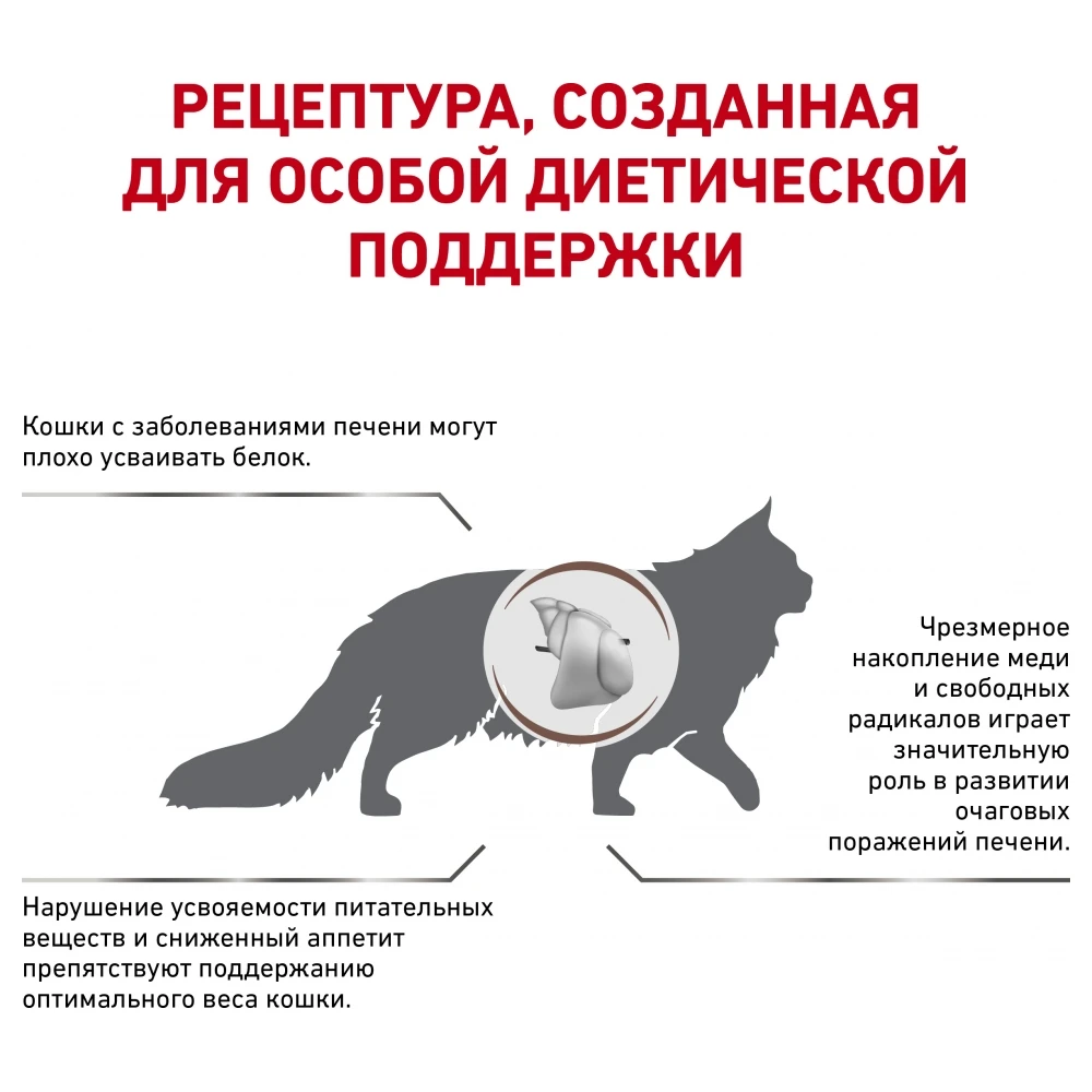 royal hepatic feline