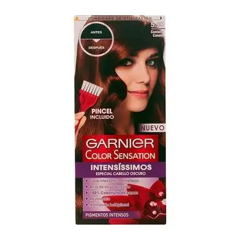 

Permanent Dye Color Sensation Intensissimos Garnier