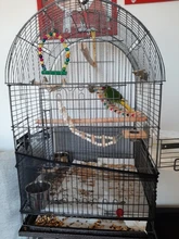 Ladder Playground-Stands Bird-Cage Stand-Play Chew-Toys Parrot Swing Wood Climbing Feeder