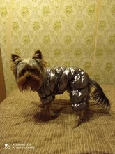 Ropa de abrigo para Perros Bulldog Francés, Ropa de cachorro, Chihuahua, yorkie, abrigo de perrito mascota, chaqueta, perros, mascotas