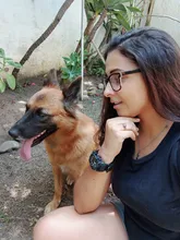 SKMEI-reloj Digital de cuarzo para hombre y mujer, pulsera deportiva militar de 3 TIEMPOS, resistente al agua, 1436