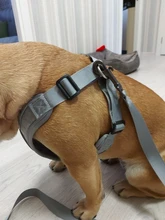 Arnés tipo chaleco sin tirones para perro, correa reflectante para perro pequeño y collar para terrier schnauzer Gato, suministros de entrenamiento para caminar, chihuahua