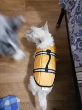 Chaleco Salvavidas para perro, chaqueta Salvavidas para mascota, ropa de seguridad, traje de baño para mascotas, Chaleco de seguridad para verano