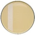Пластик 20&quot для бас-барабана Modern Vintage Felt Strip Bass Drumhead Aquarian MOTC-K20 |