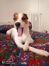 Battery Nickel-Plate Welding-Needle Aluminum-Oxide Copper 3mm Brazing Special