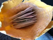 3 4 6 8mm espaciador redondo perlas de vidrio para fabricación de joyería Diy accesorios de colores de cristal facetado perlas al por mayor Z174