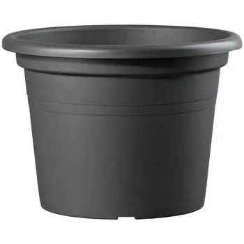 

DEROMA Pot FarnÃ©S 9BA54PZ