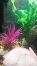 Aquarium-Accessories Decoration Materials Fish-Tank Artificial Green 20cm PVC Plants