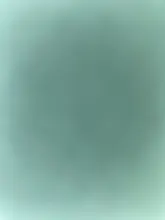 Pinzas para cejas de acero inoxidable, pinzas para extensión de pestañas, herramienta de belleza para eliminación de cejas, 1 unidad