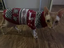 Cute Cat Sweater Costume Winter Warm Pet Clothes Cat Clothing for Cats Katten Kedi Giyim