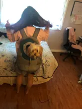 Cat-Carrier Dog-Travel-Bags Outdoor Portable Pet Environmentally-Friendly Cationic