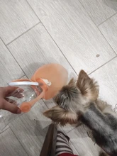 580ml Portable Pet Dog Water Bottle Soft Silicone Leaf Design Travel Dog Bowl For Puppy