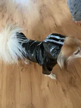 S-XL de ropa para perros chubasqueros con capucha, tira reflectante, abrigo de lluvia para perros, chaquetas impermeables, ropa transpirable para exteriores para cachorros