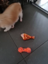 Kit de cortadora de pelo para perros, afeitadora recargable por USB Gato, bajo ruido, cuchilla de repuesto