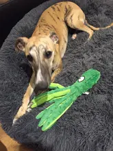 Juguete de peluche suave con 8 patas de pulpo para perros, juguete interactivo para jugar al aire libre, con sonido sonoro, juguete dental para masticar