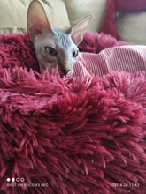 De Lujo suave cama de peluche para perro en forma de bolsa de dormir perrera gato sofá para cachorro cama del animal doméstico Casa de invierno cálido camas cama perro cama del perro