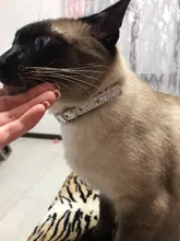 Kitten-Accessories Strap Puppy-Collar Rhinestone Diamond Baby Dog Super-Shining Hot-Sale