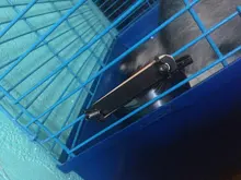 Pet puede colgar estacionario jaula de perro cuencos de acero inoxidable perro gato Boles colgantes Durable cachorro gatito de tazón para agua y alimentos