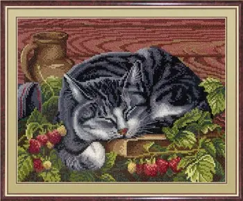 

Нв-268 set for embroidery 'MP studio ''Sleeping Cote', 22x28 cm