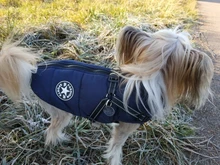 Pet-Dog-Jacket Harness Bulldog-Outfits Labrador Warm French Chihuahua Waterproof Large