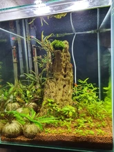 Aquarium-Lights Lamp Aquatic-Freshwater-Lamps Fish-Tanks Led-Plants Waterproof Clip-On